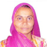 Image तुलसी देवी